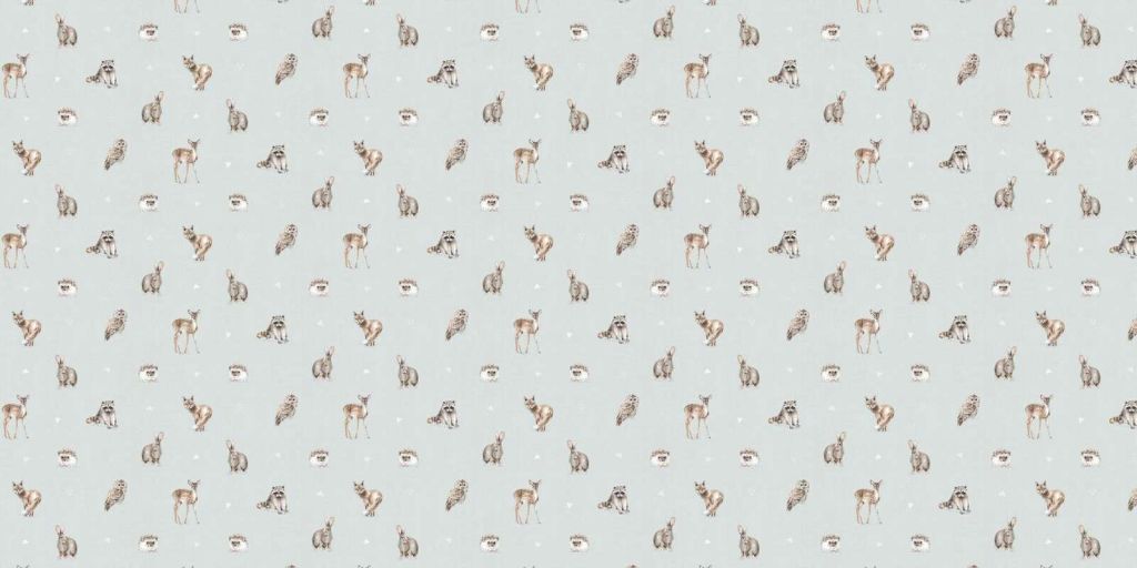 Amici della Foresta Passo 01C