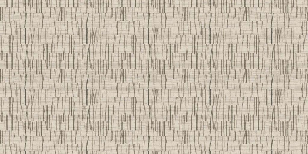 Una Passeggiata nel Bosco Passo 04C