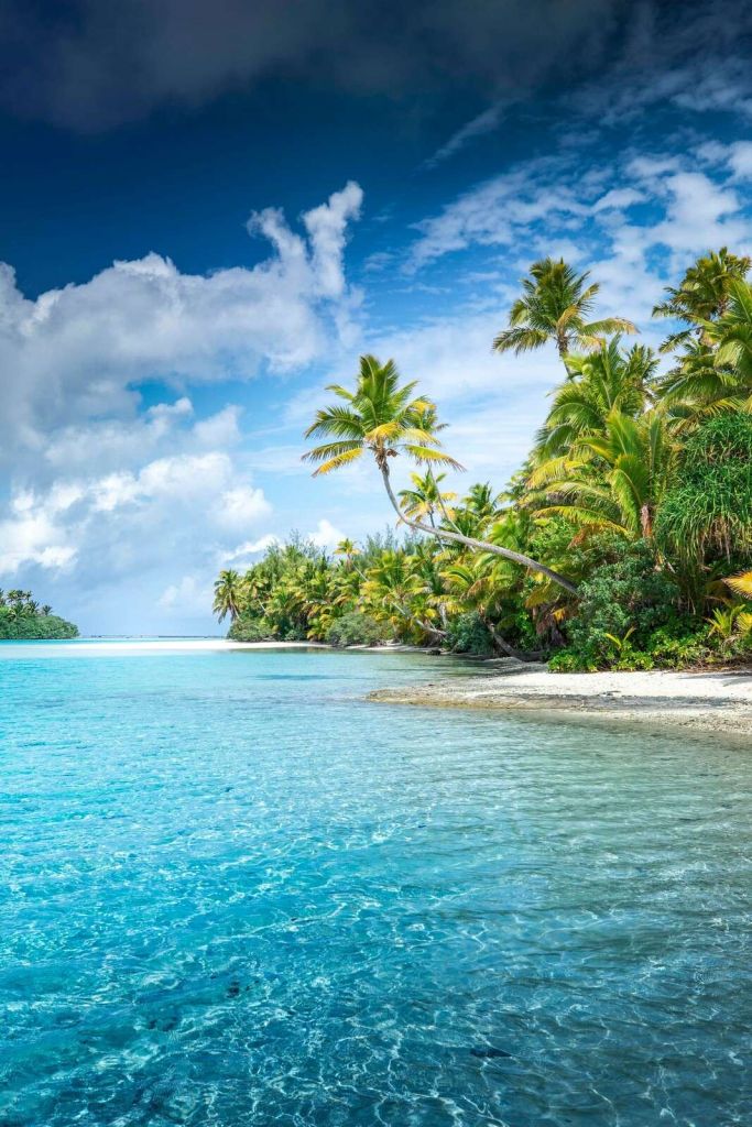 Spiaggia tropicale luminosa con palme