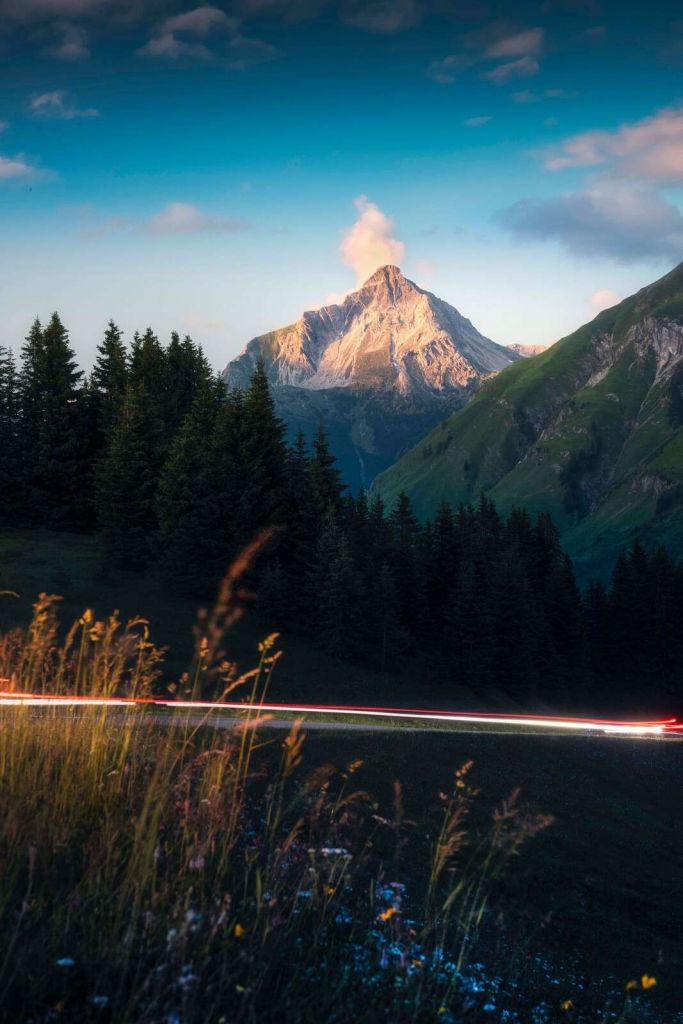 Luce del tramonto su cima alpina con campo di fiori