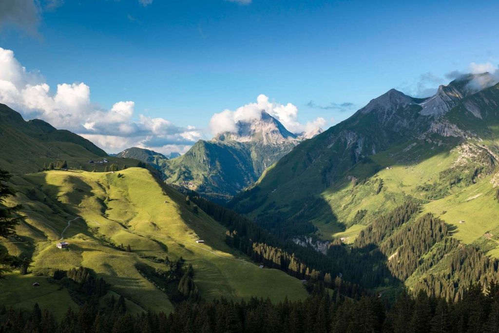 Luce estiva su una valle alpina verde