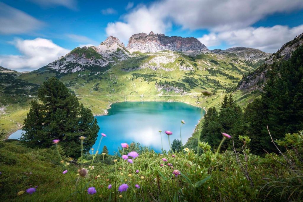 Lago di montagna con fiori alpini selvatici