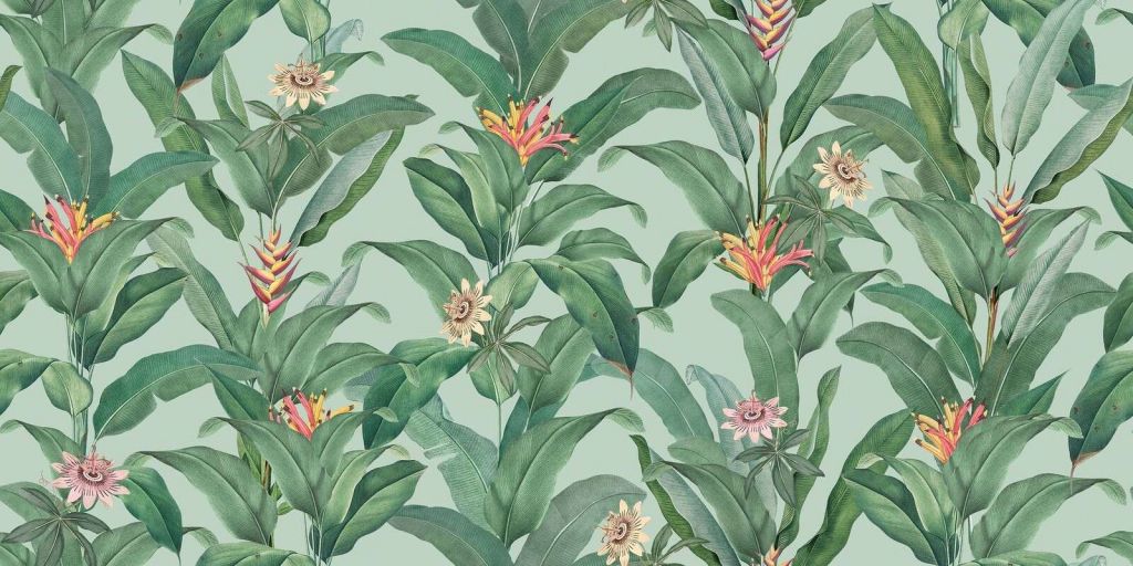 Foglie tropicali con heliconia