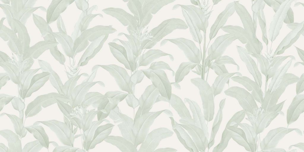 Delicate foglie tropicali in verde salvia