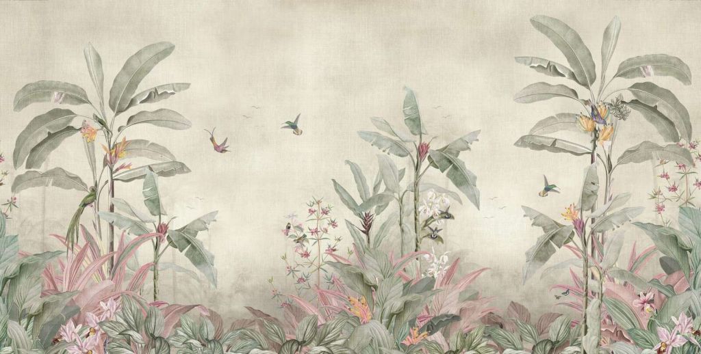 Colibrì tra foglie di banano morbide