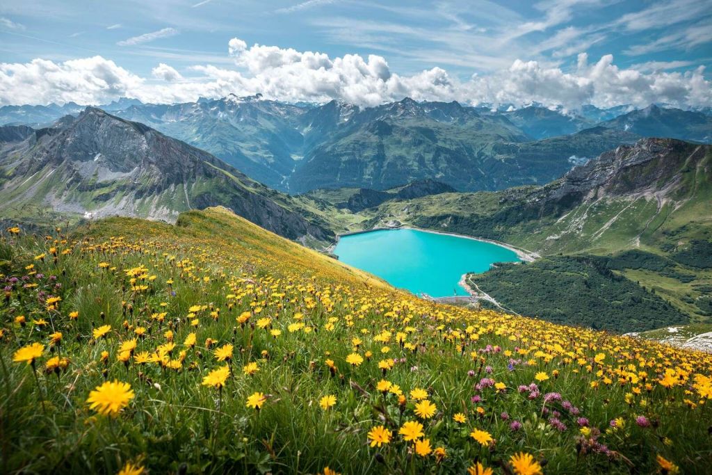 Prato di fiori sopra un lago di montagna turchese