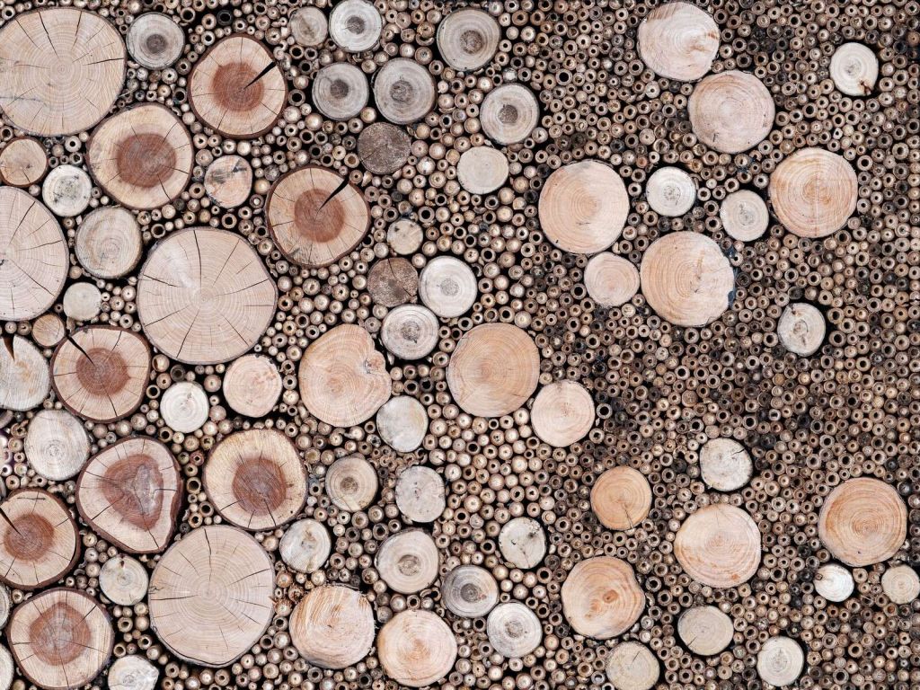 Tronchi di legno
