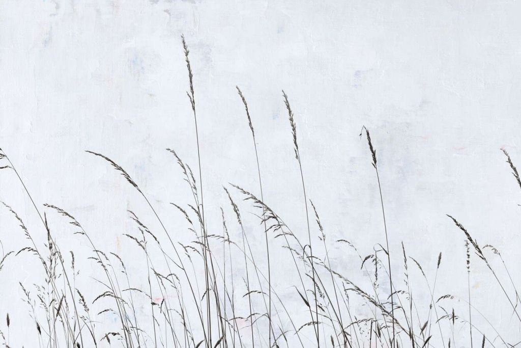 Erba di campo ondulante leggermente sotto la luce bianca