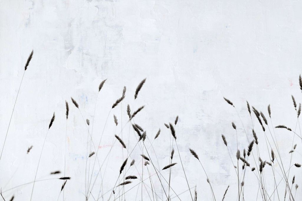 Erba di campo minimalista in silenzio