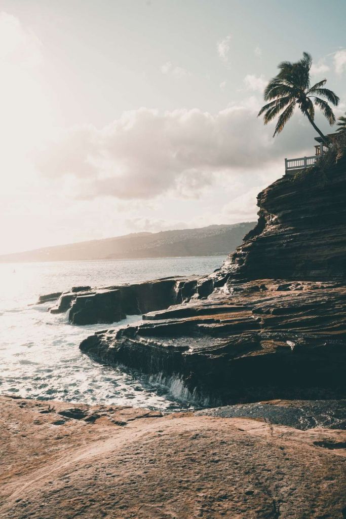 Costa rocciosa con una palma solitaria