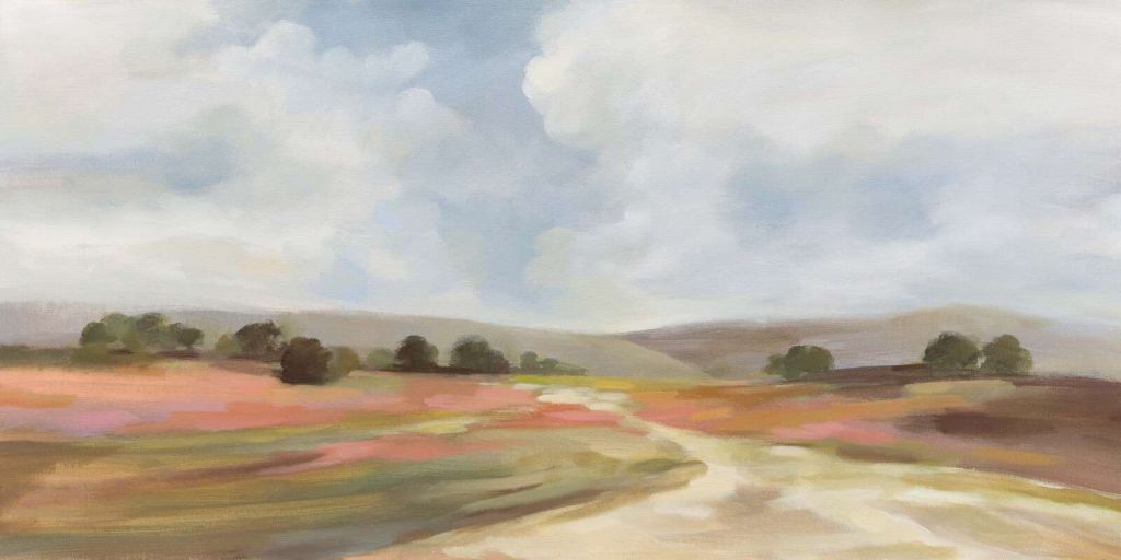 brughiera estiva sotto un cielo nuvoloso