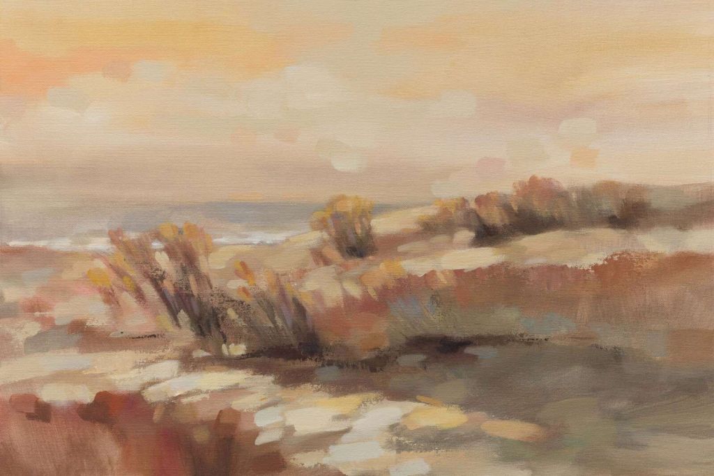 Dune calde alla luce del tramonto