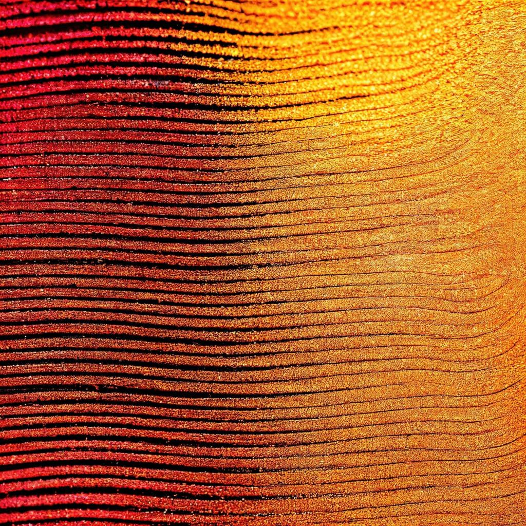 Macro Cobra fiore di zafferano