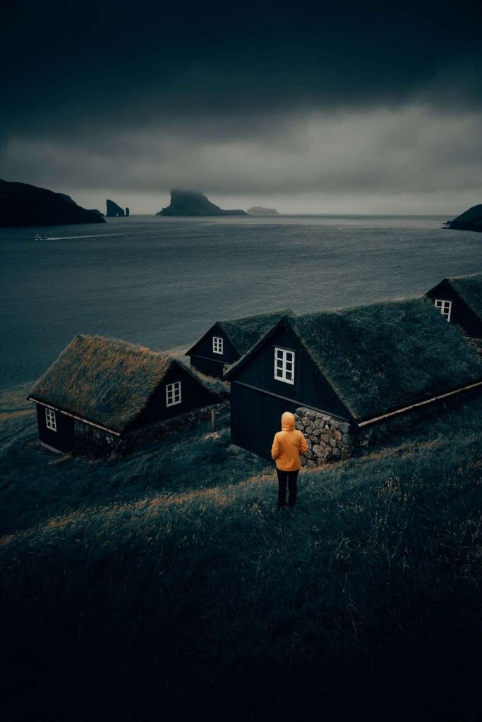 Tetti in erba lungo un fiordo del nord