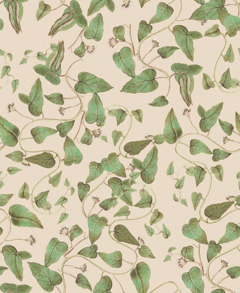 Fagioli rampicanti su crema