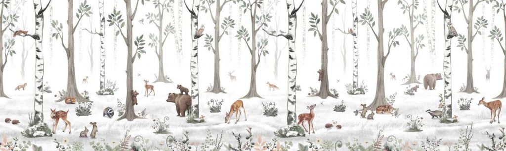 Foresta Bianca - Panorama