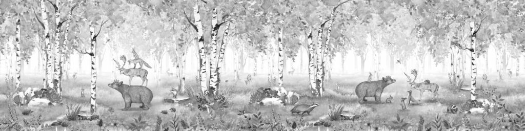 Orso Re - Bianco e Nero - Panorama