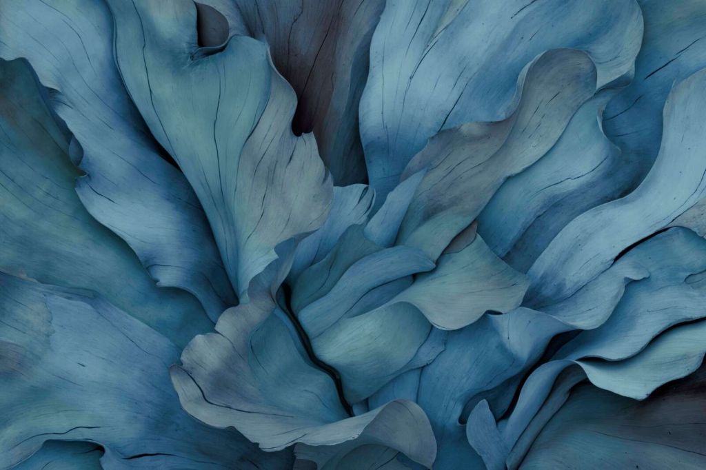 Sussurri floreali oceanici, forme organiche