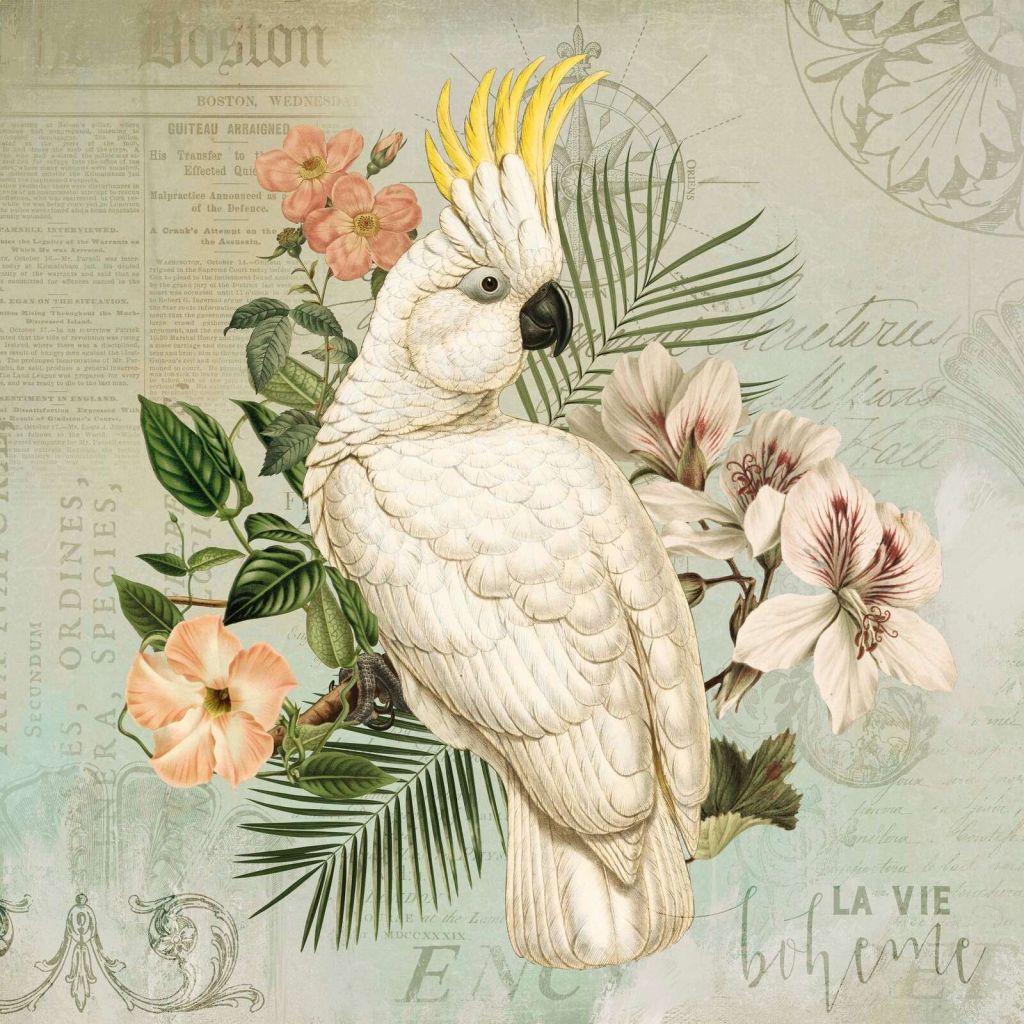 Nostalgia vintage del cacatua