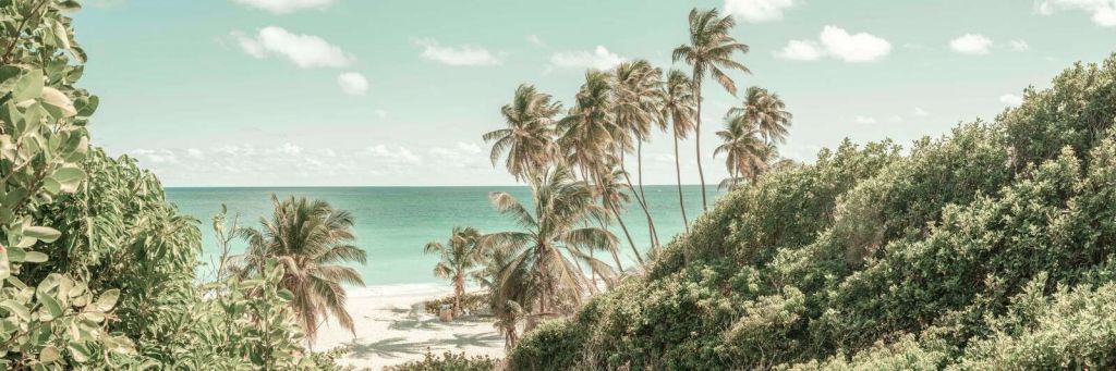 Spiaggia tropicale con palme ondeggianti