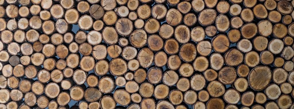 Tronchi impilati