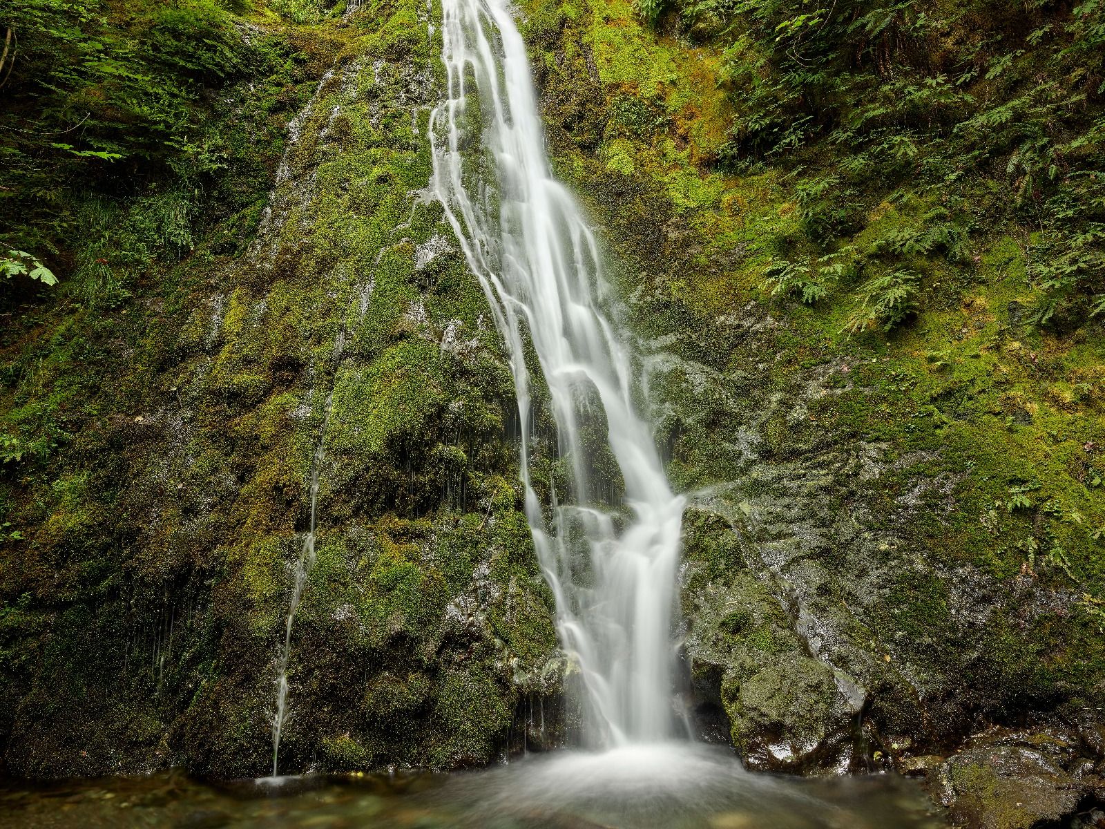 Cascata con un bellissimo verde 
