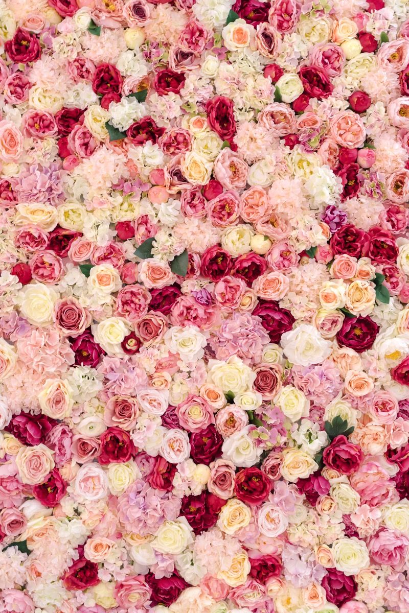 La fantasia delle rose