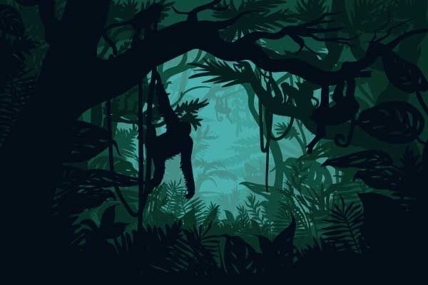 Scimmia nella giungla