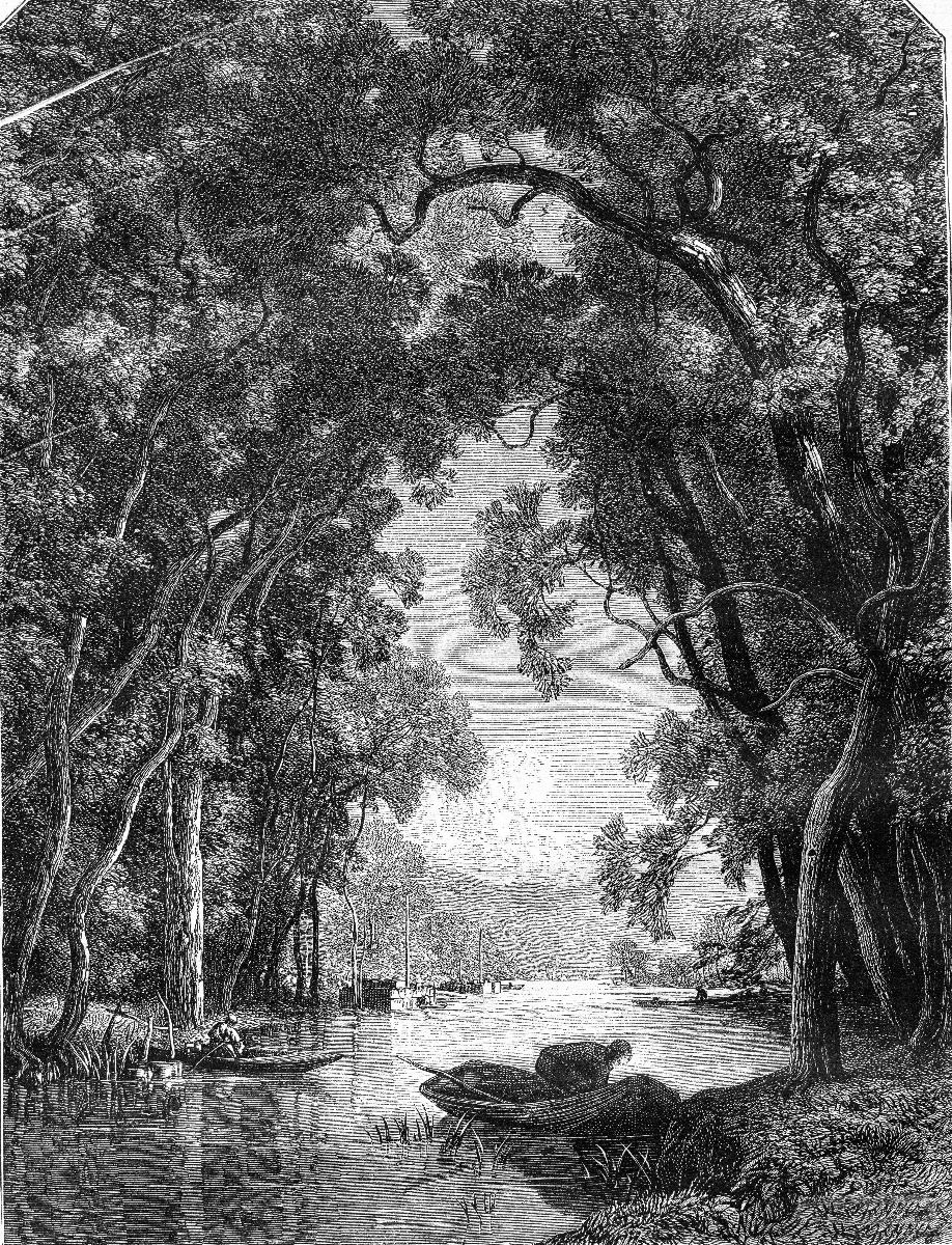 Vecchio fiume nella giungla