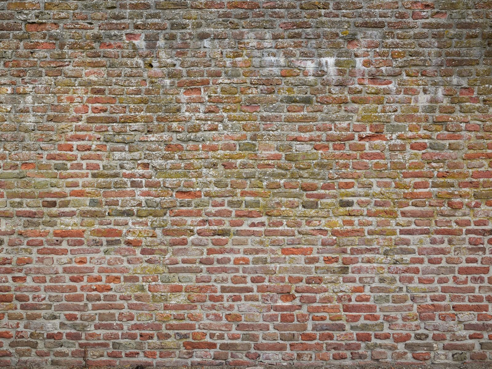 Caratteristico muro di cinta