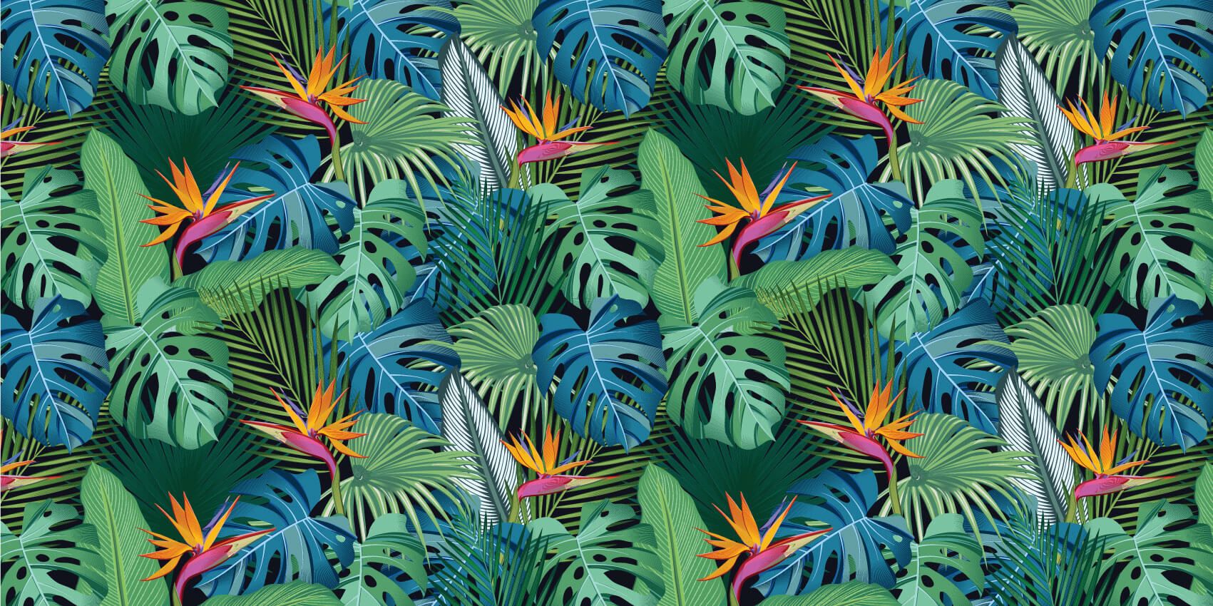 Uccello del Paradiso Fiore