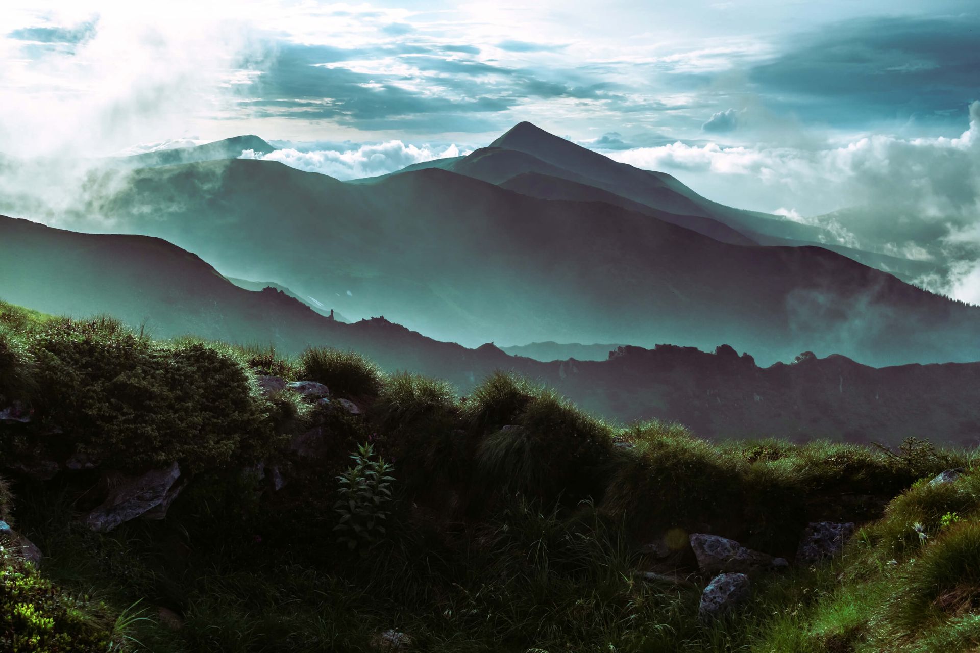 Giungla con montagne