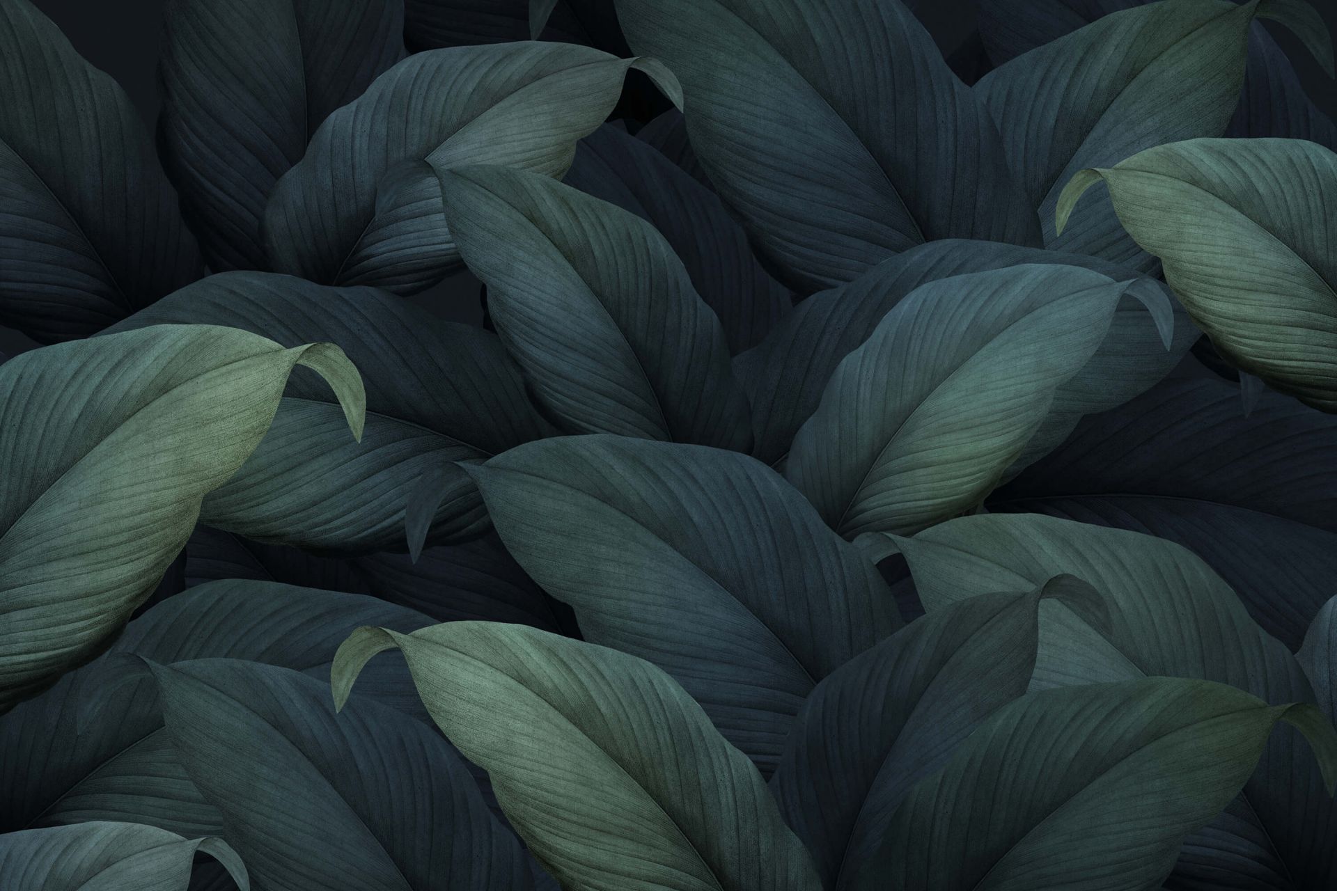 Foglie verdi tropicali