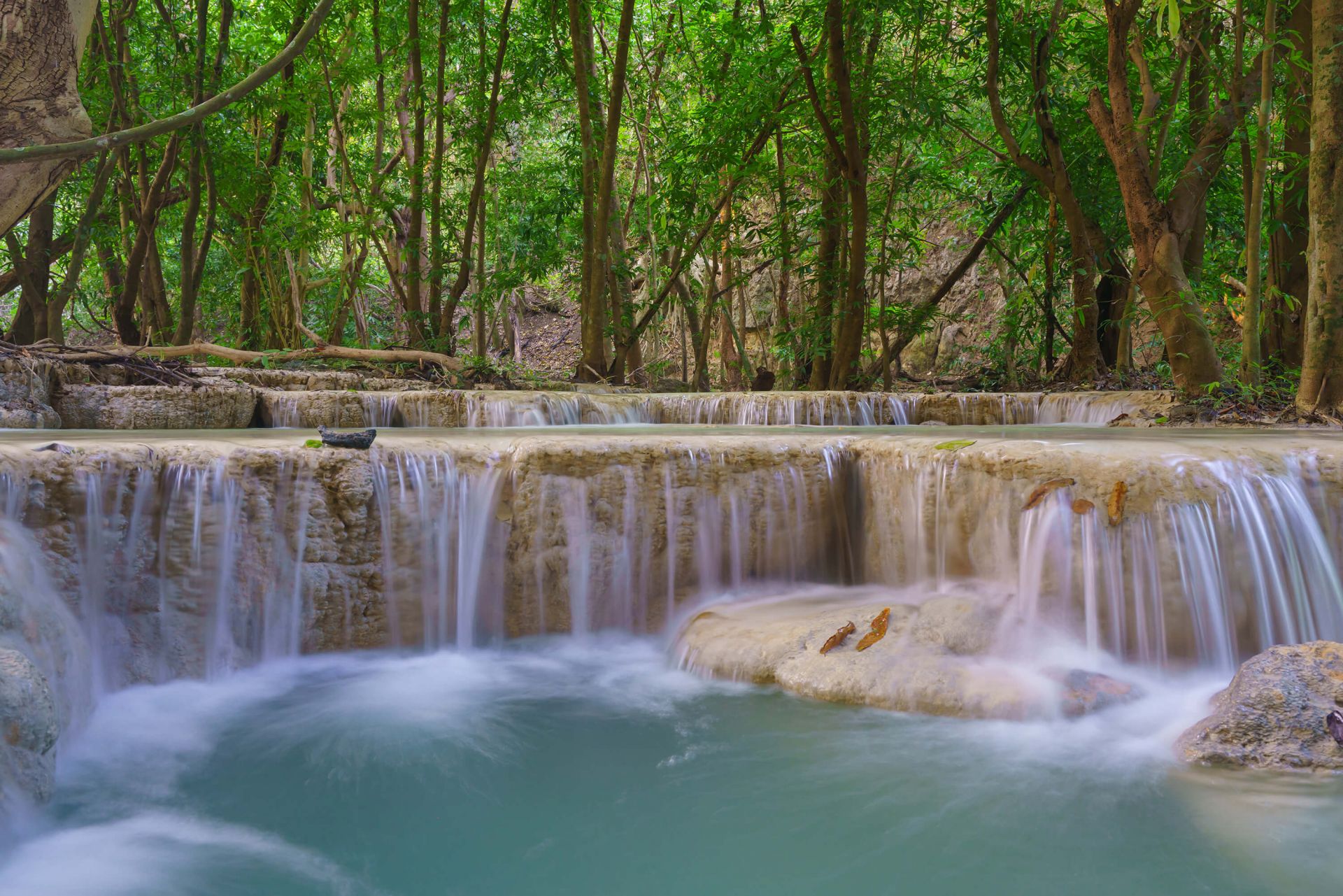 Cascata nella foresta pluviale profonda