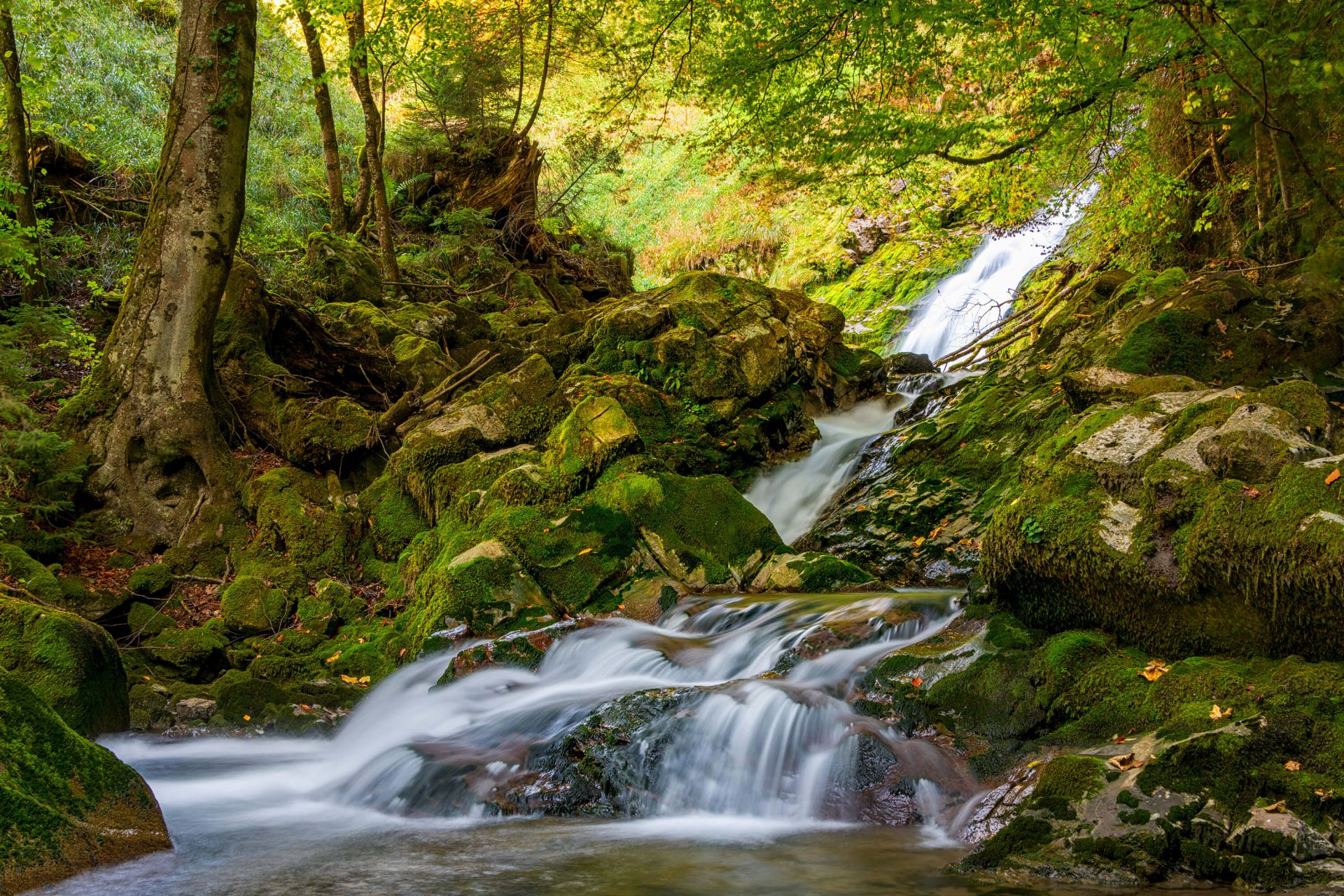 Cascata in mezzo alla foresta