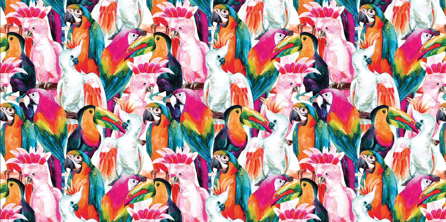 Uccelli dai colori tropicali