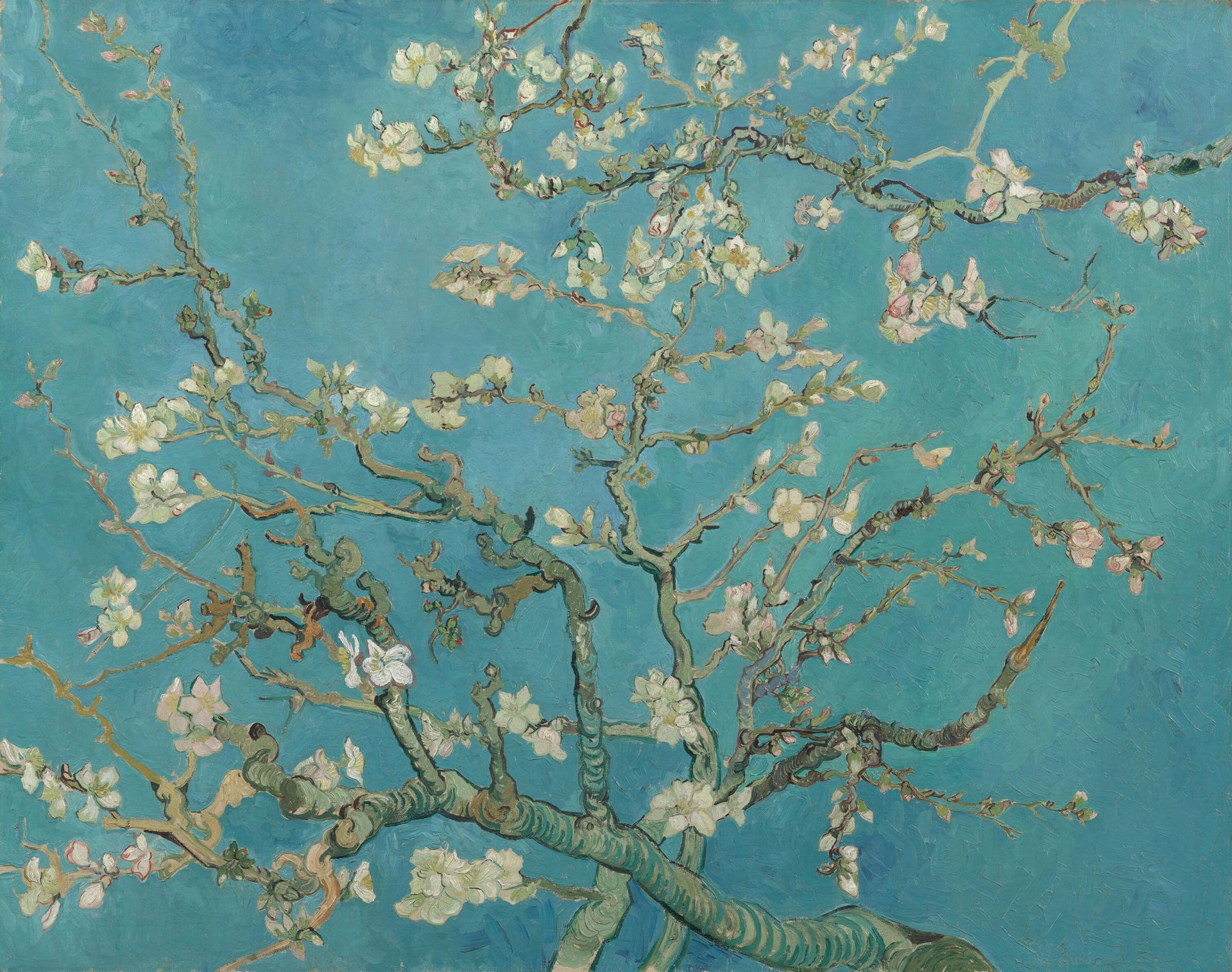 Mandorlo in fiore dipinto (Van Gogh)