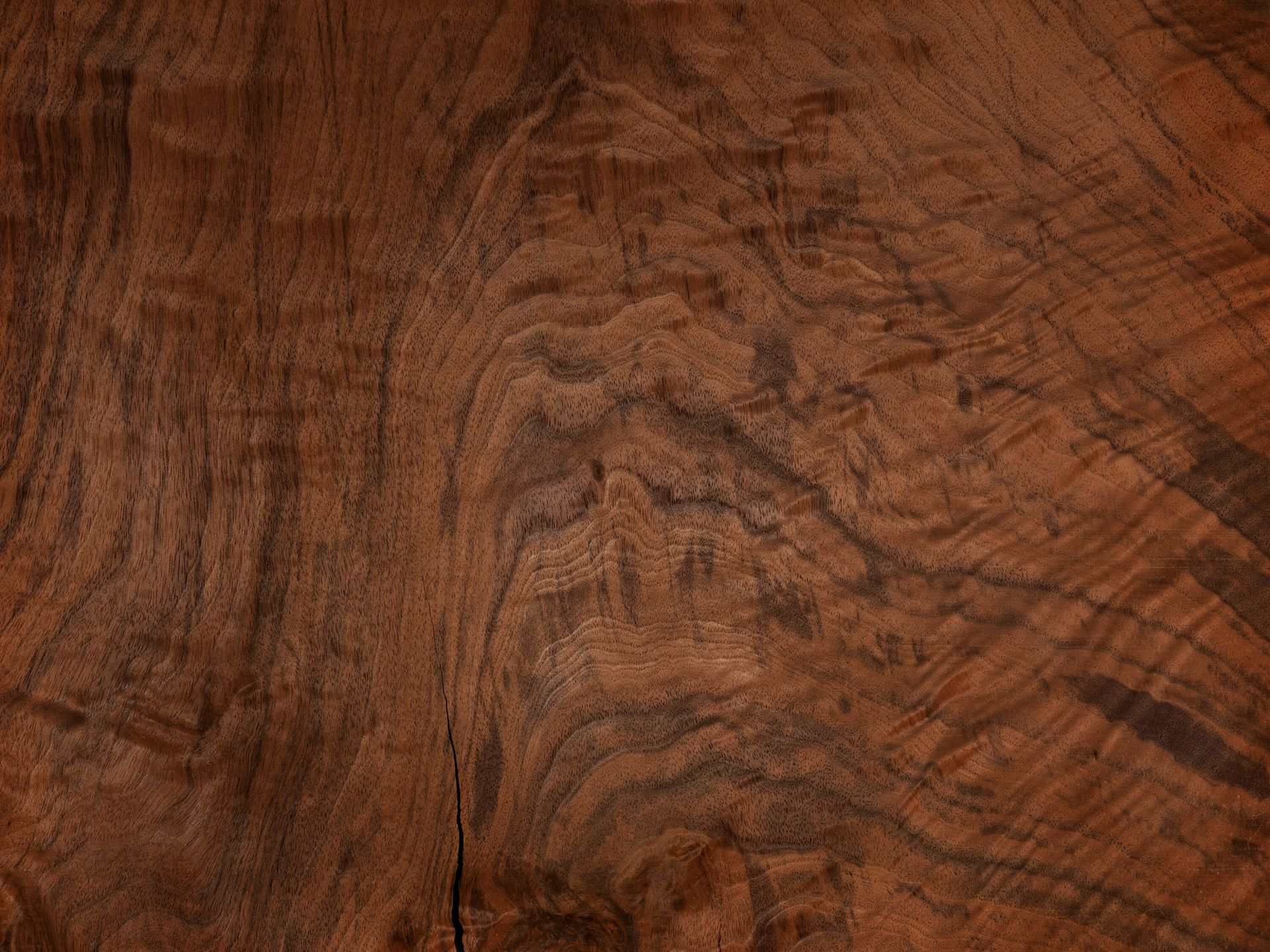 Struttura in legno speciale