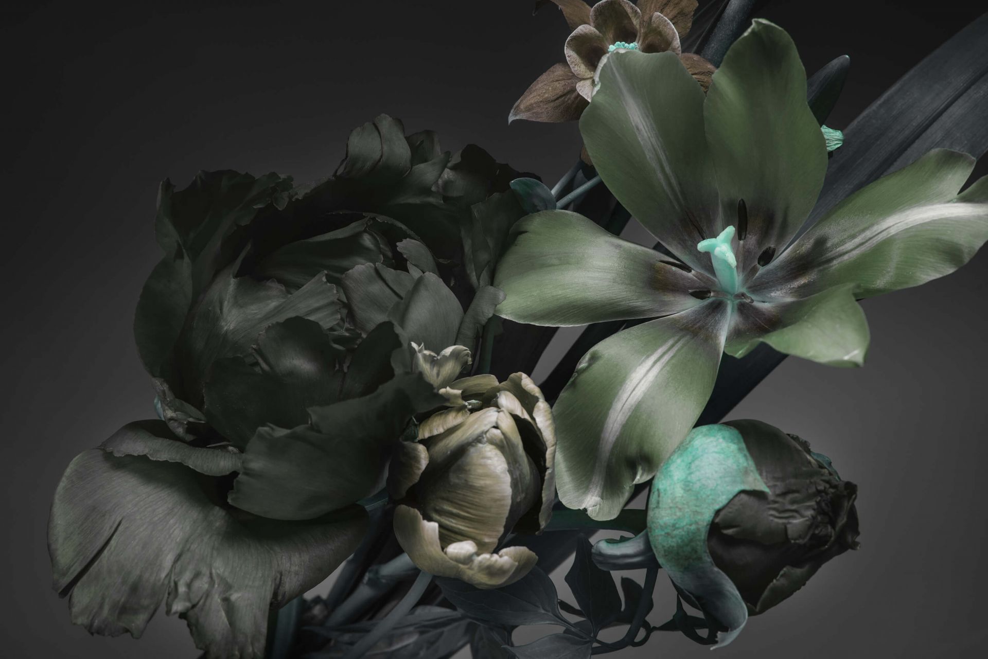 Bouquet di fiori scuri