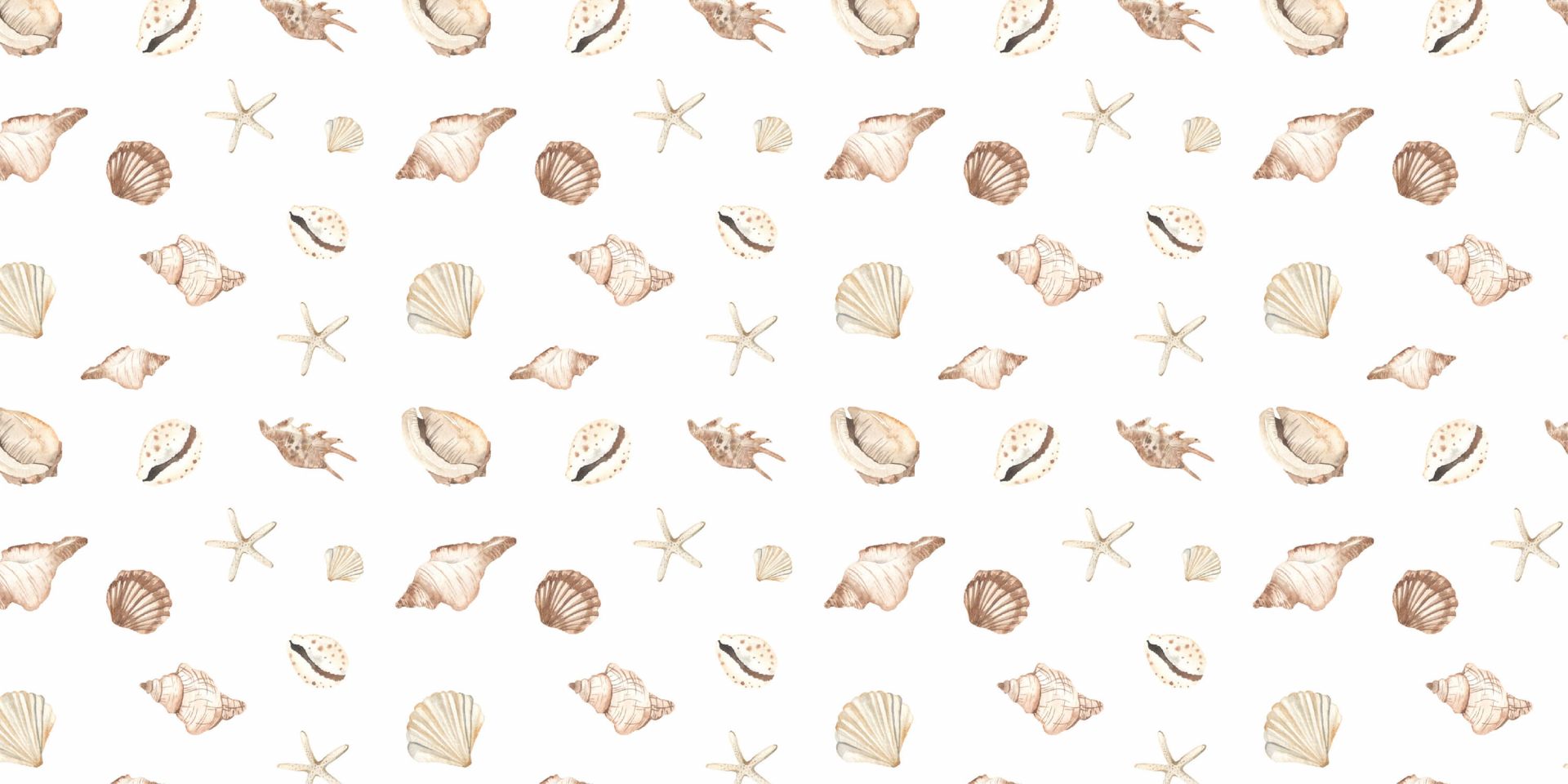 Acquerello conchiglie