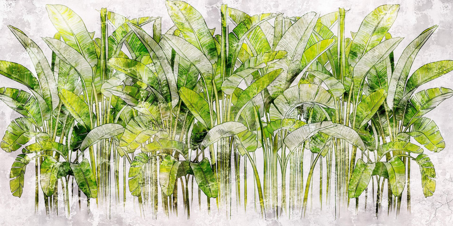 Grandes hojas de palmera dibujadas