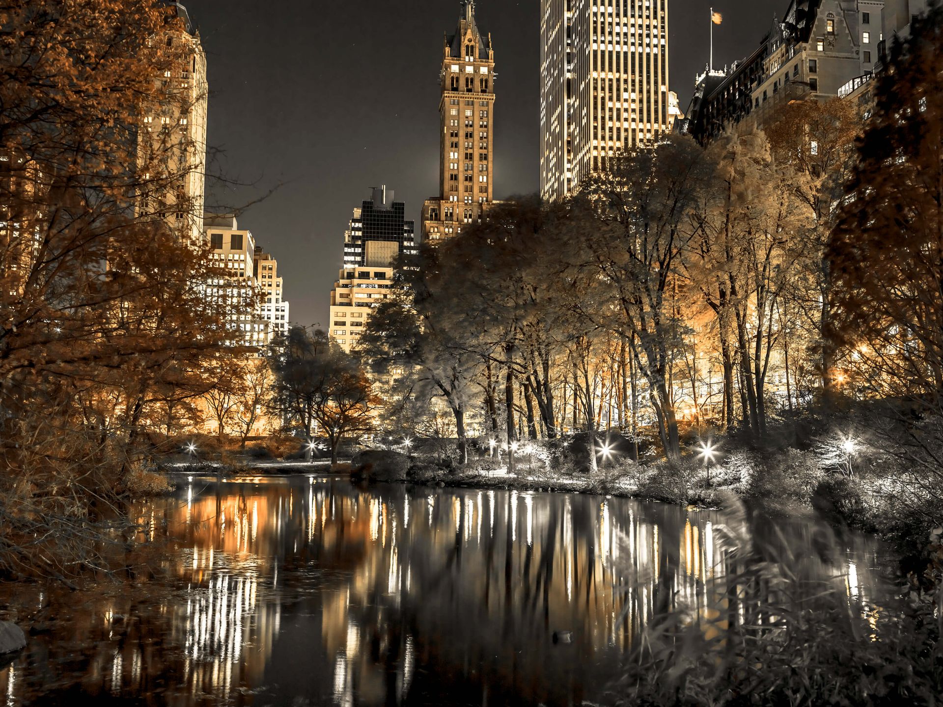 New York di notte