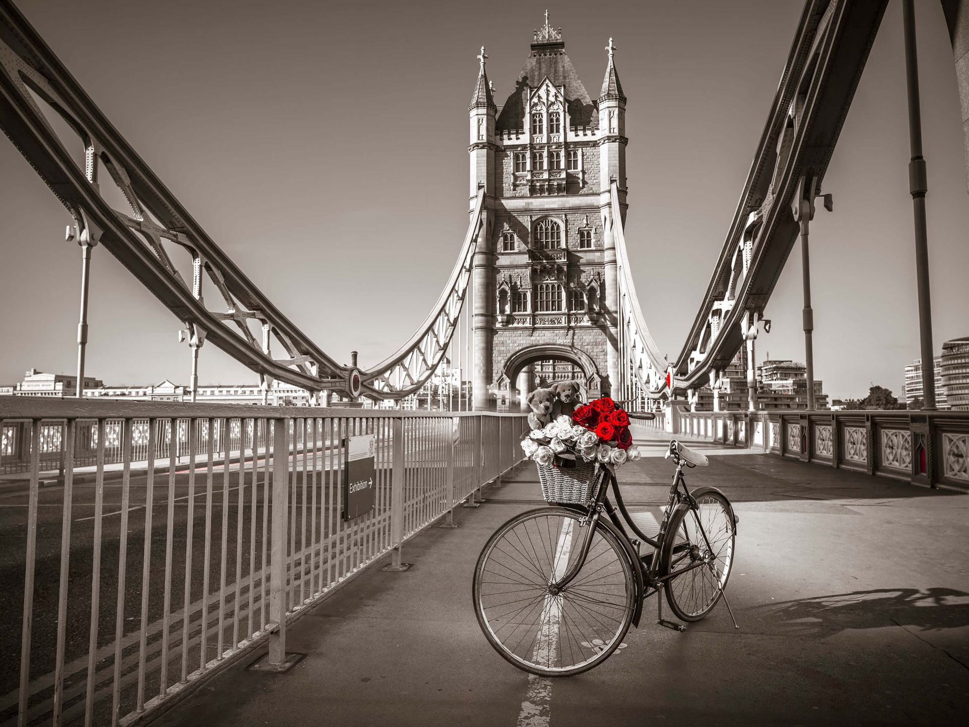 Cuccioli in un cestino da bicicletta