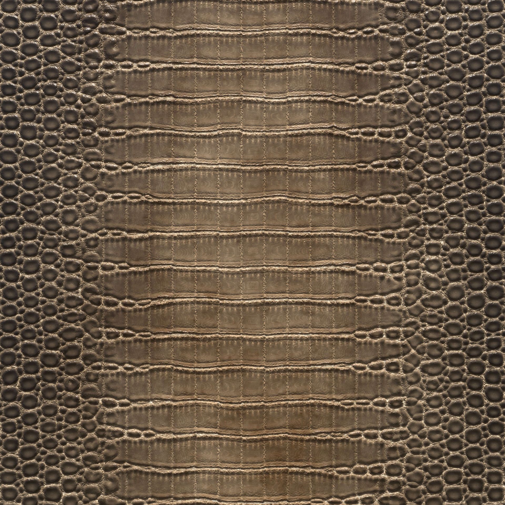 Pelle di coccodrillo marrone