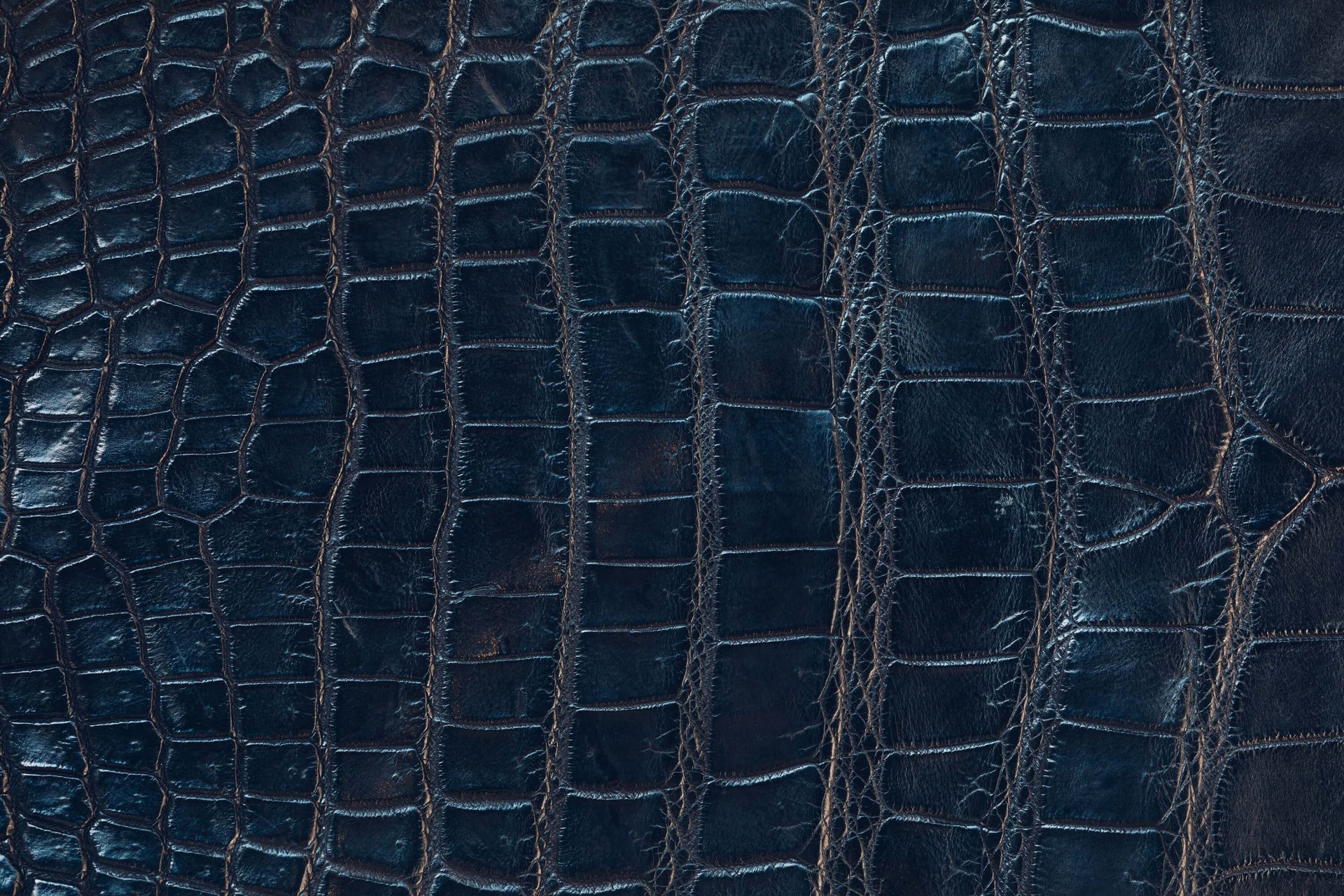 Pelle lucida di coccodrillo