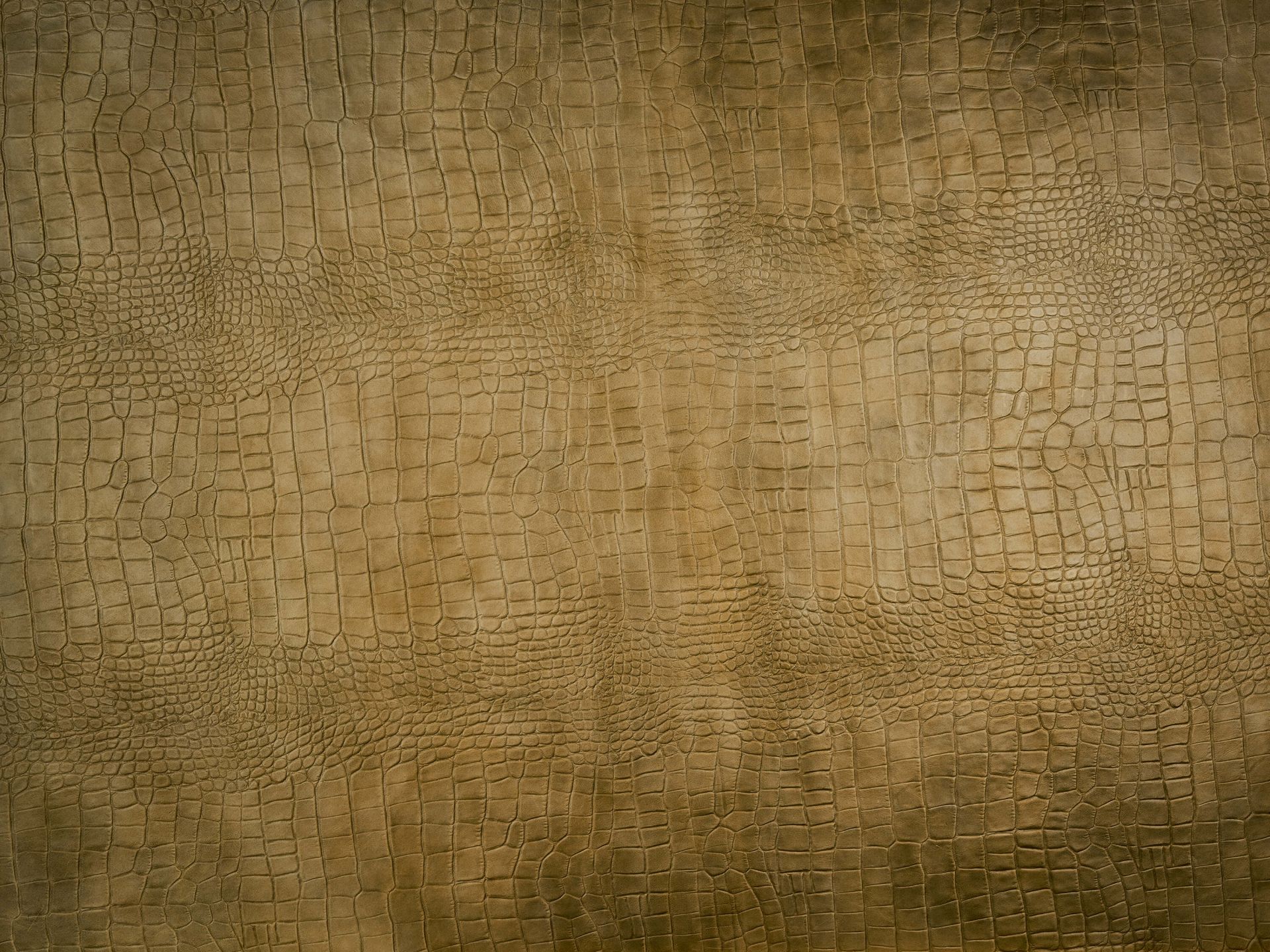 Texture coccodrillo giallo ocra