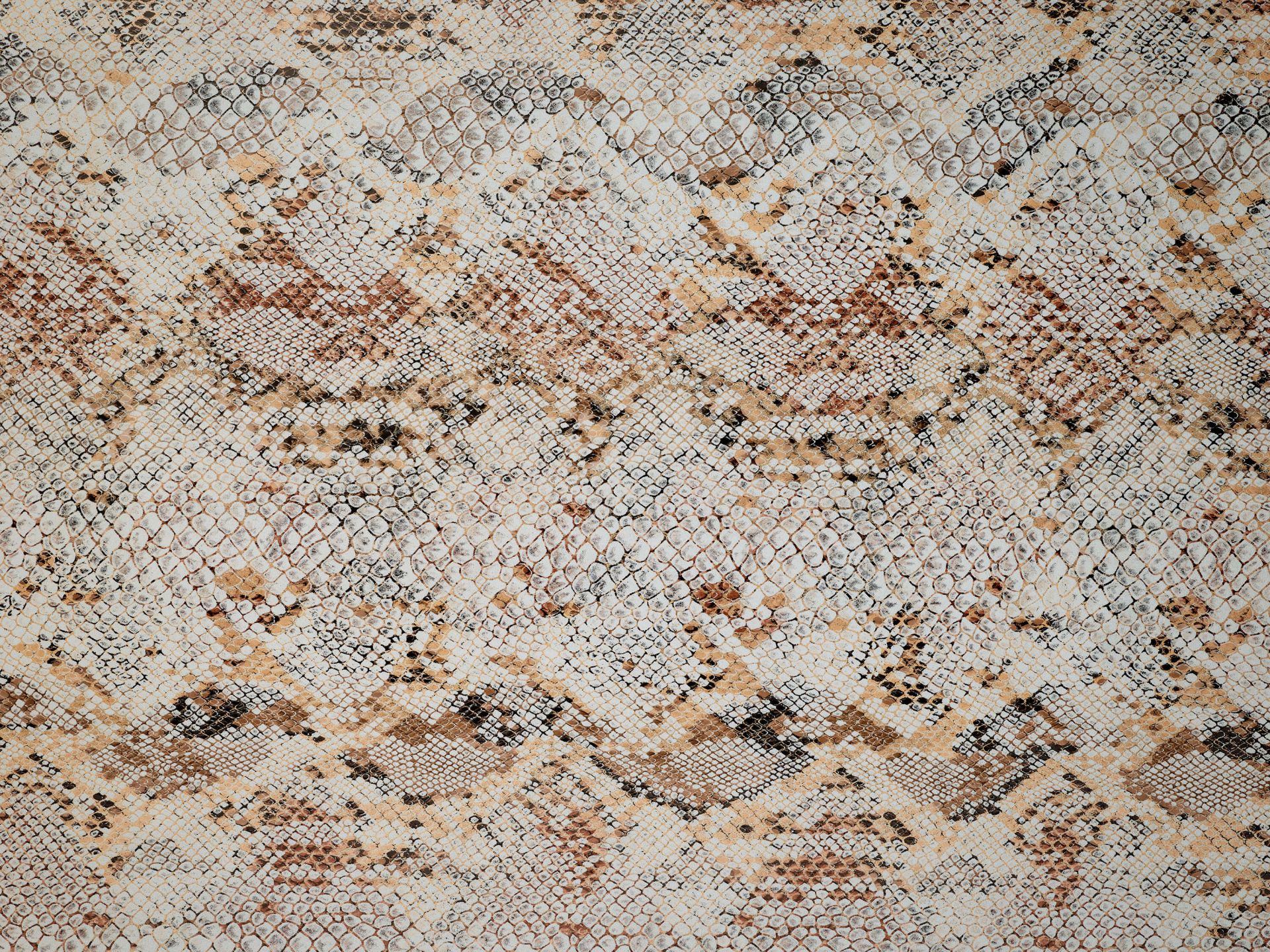 Pelle di serpente leggera