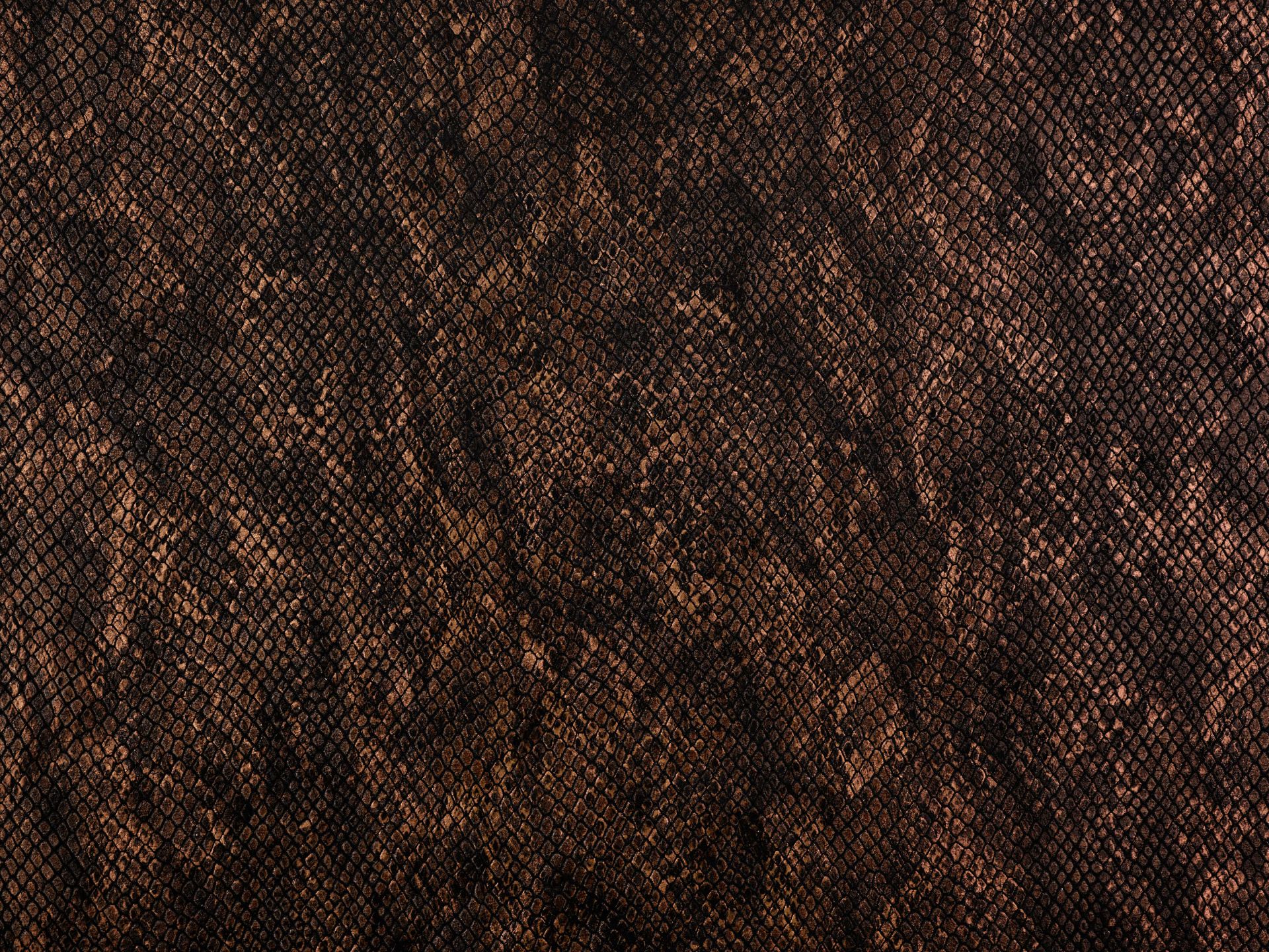 Pelle di serpente color rame