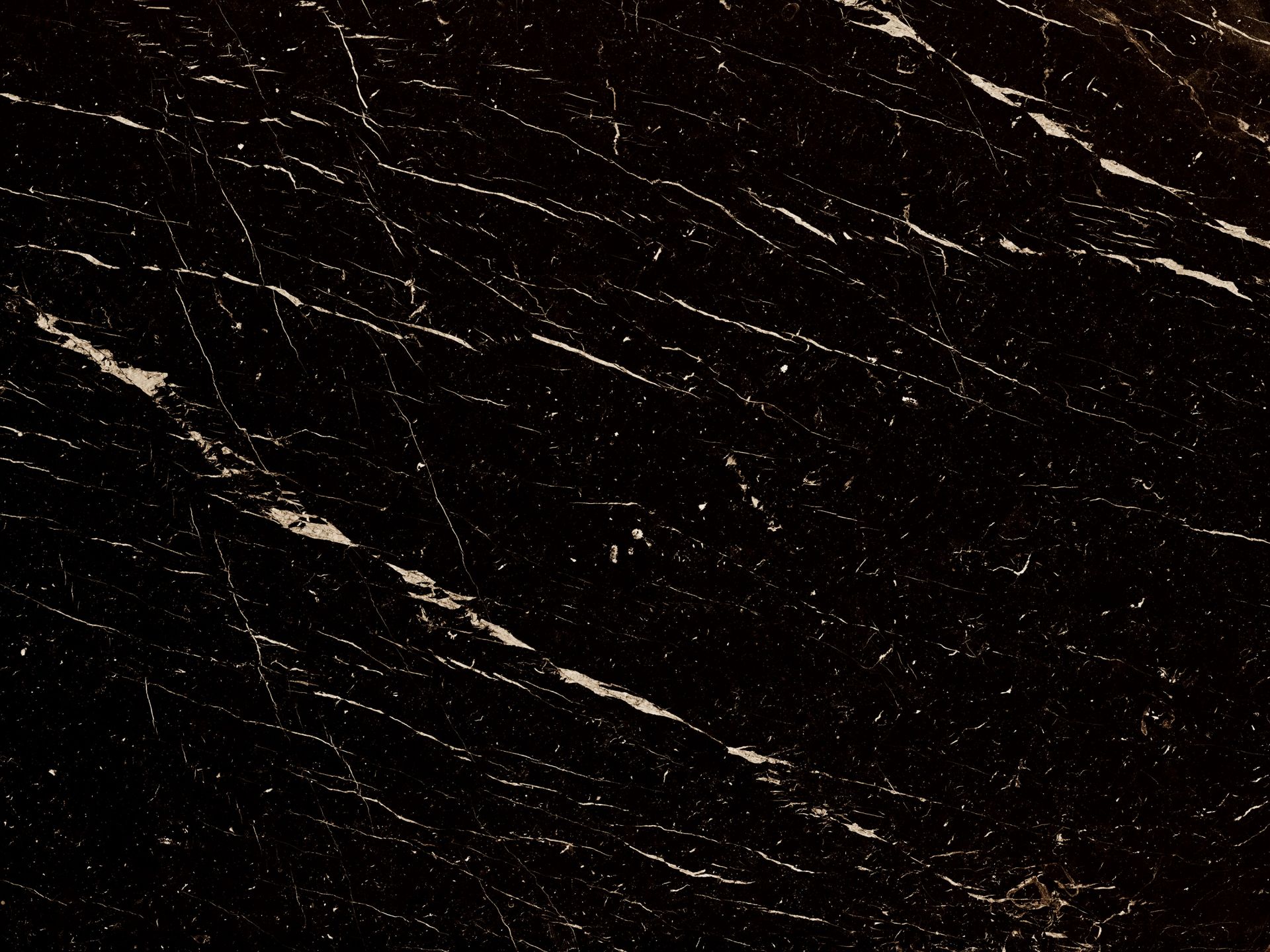 Marmo scuro con struttura chiara