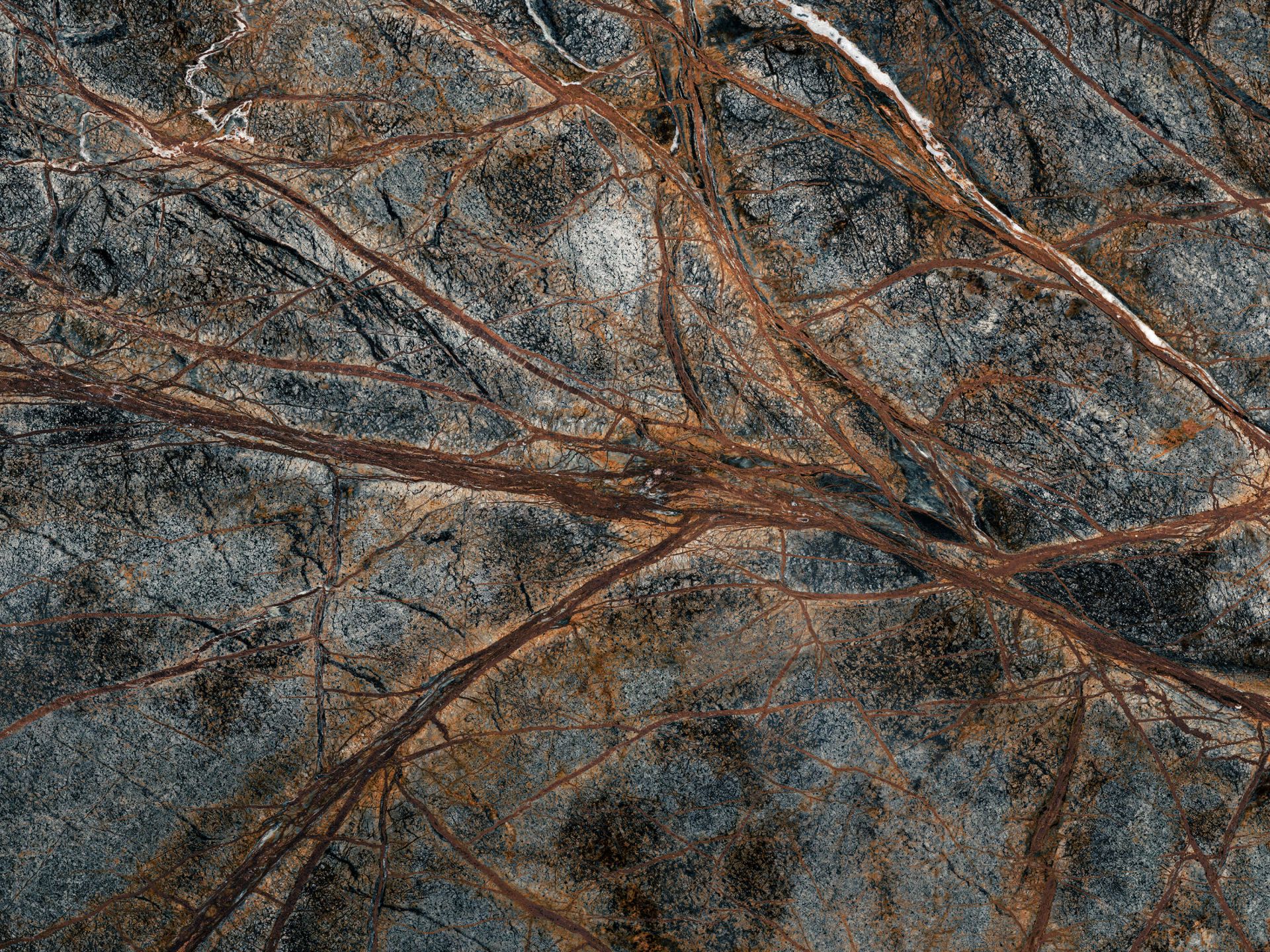 Marmo grigio con struttura venosa dettagliata